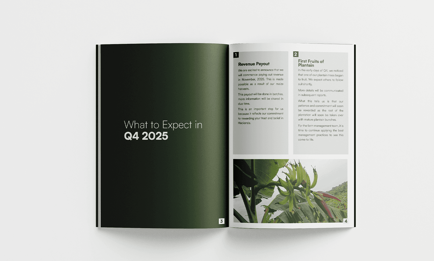 Inside Page