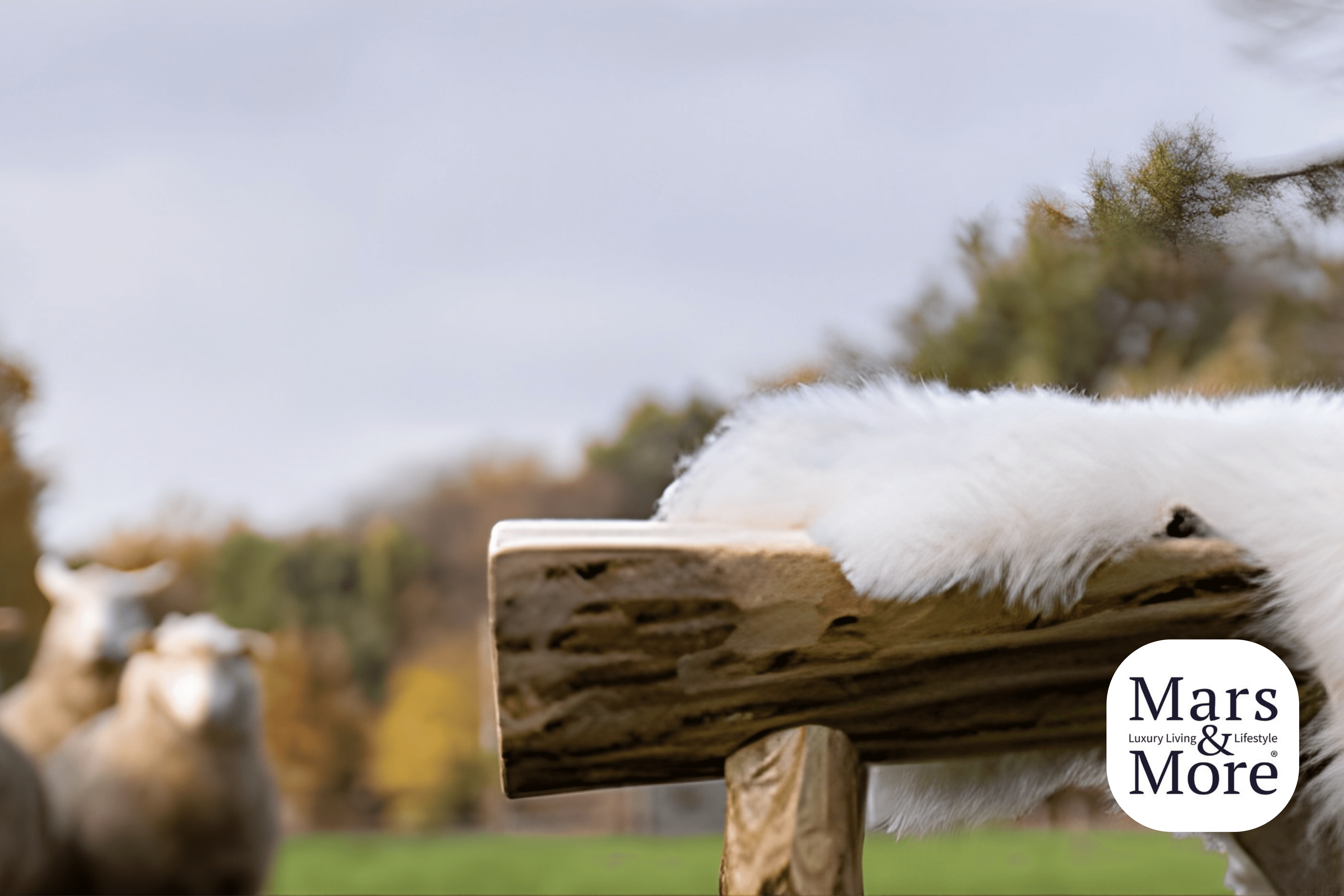 Mars & More outdoor scene with a sheepskin draped over a wooden bench in a natural setting