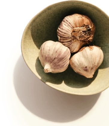Warm light shining on a bowl of garlic bulbs.