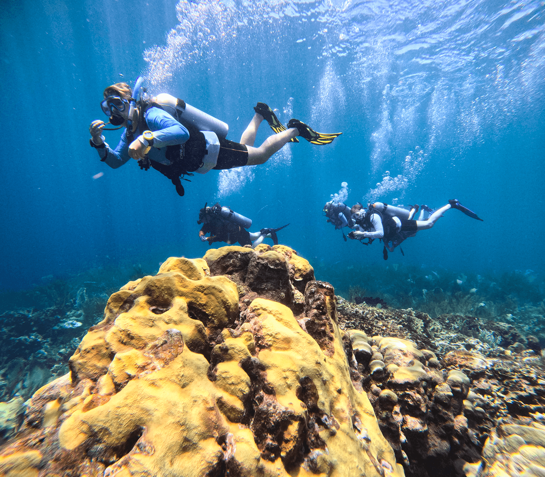 Diving in Bonaire
