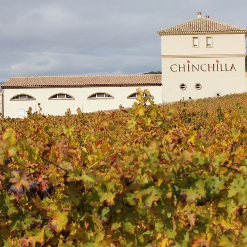 Rakennus nimeltä "CHINCHILLA" katsottuna viinitarhan yli, jossa syksyn värisiä viiniköynnöksiä pilvisen taivaan alla.