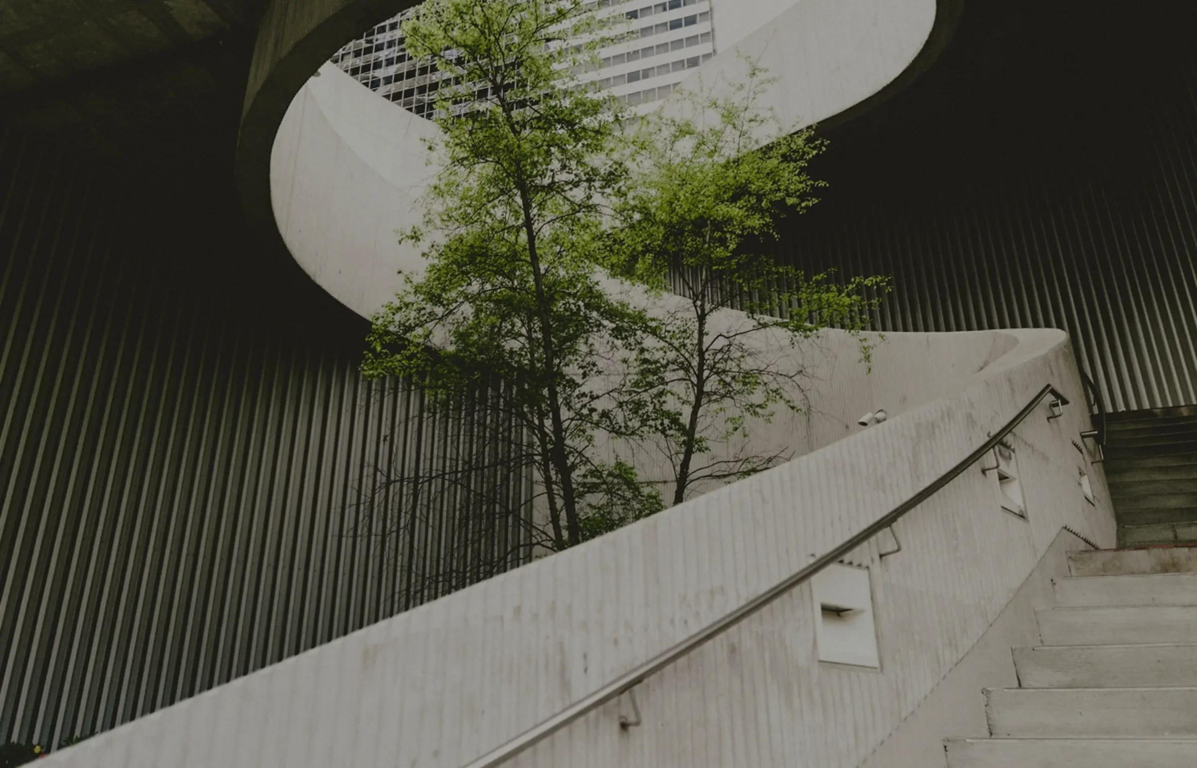 Spiral concrete staircase with a tree growing through its center