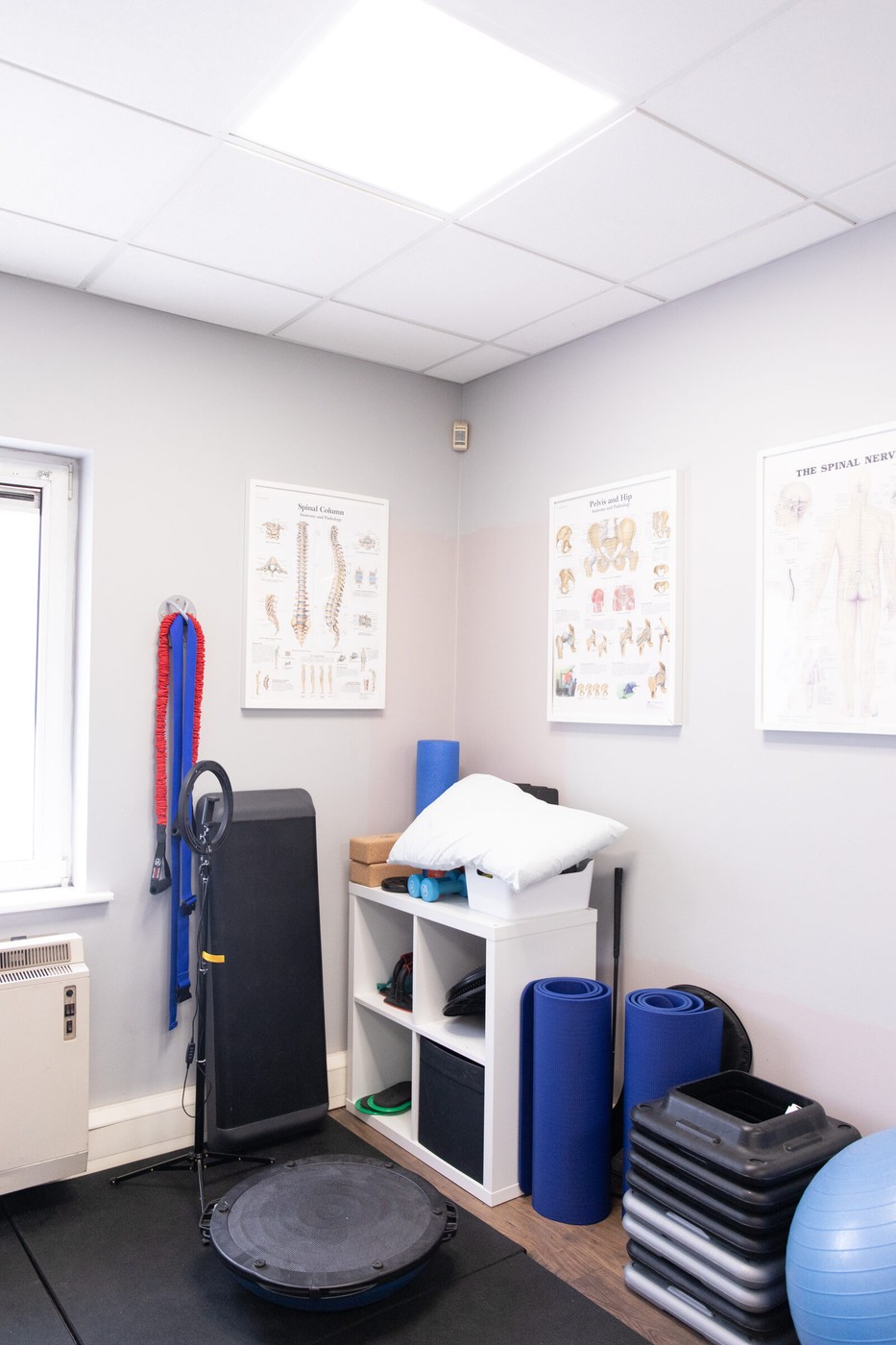 A corner of a treatment room with spinal and pelvic anatomy charts, resistance bands, a balance board, rolled exercise mats and a storage unit.