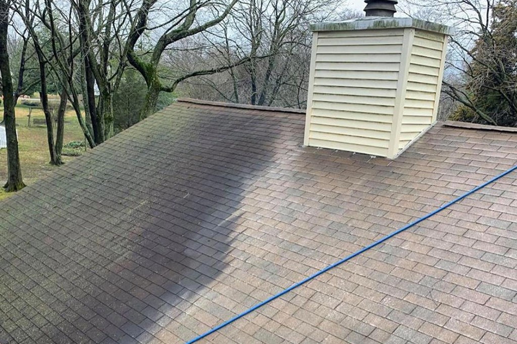 before and after results of roof washing lexington, sc