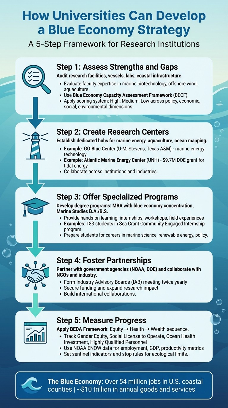 5-Step Blue Economy Strategy Framework for Universities