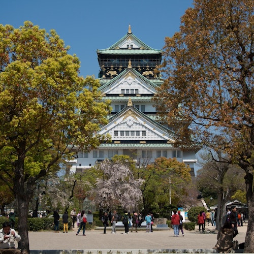 在蓝天之下,一群人漫步在公园里,树木繁花盛开,他们聚集在一座大型传统日式城堡周围。