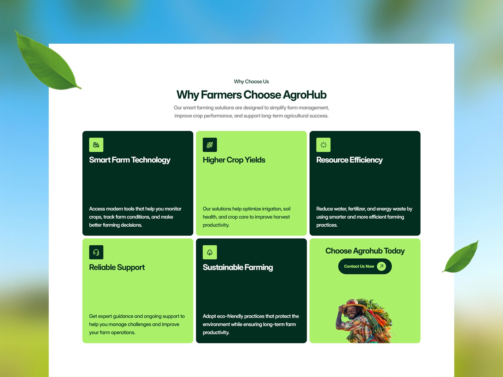Agrohub — 现代专业餐饮品牌网站设计灵感