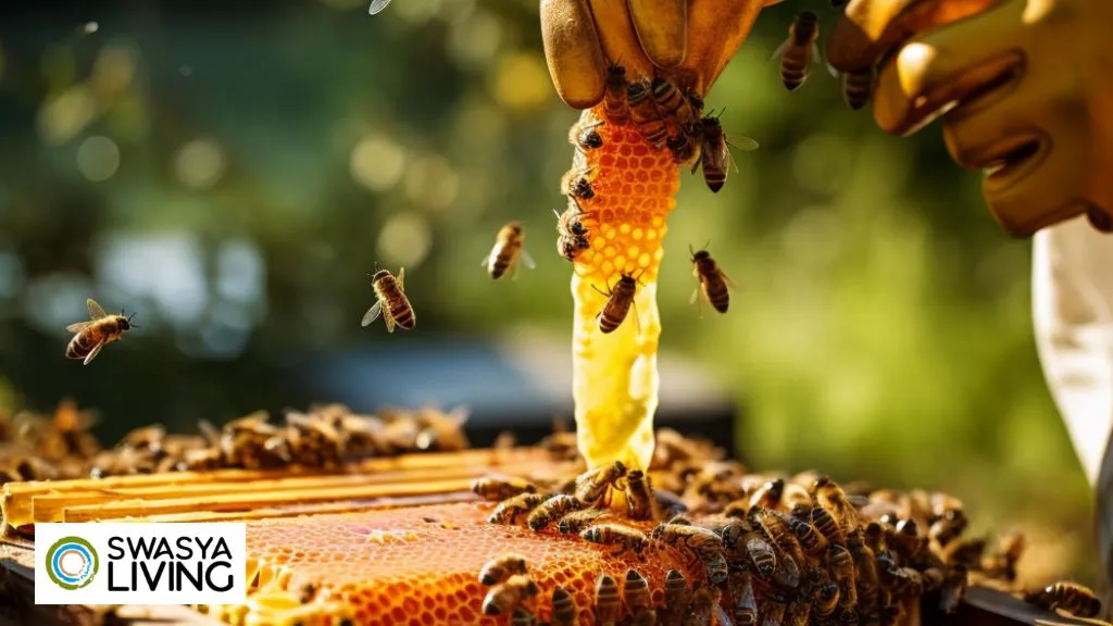 Honey Farming