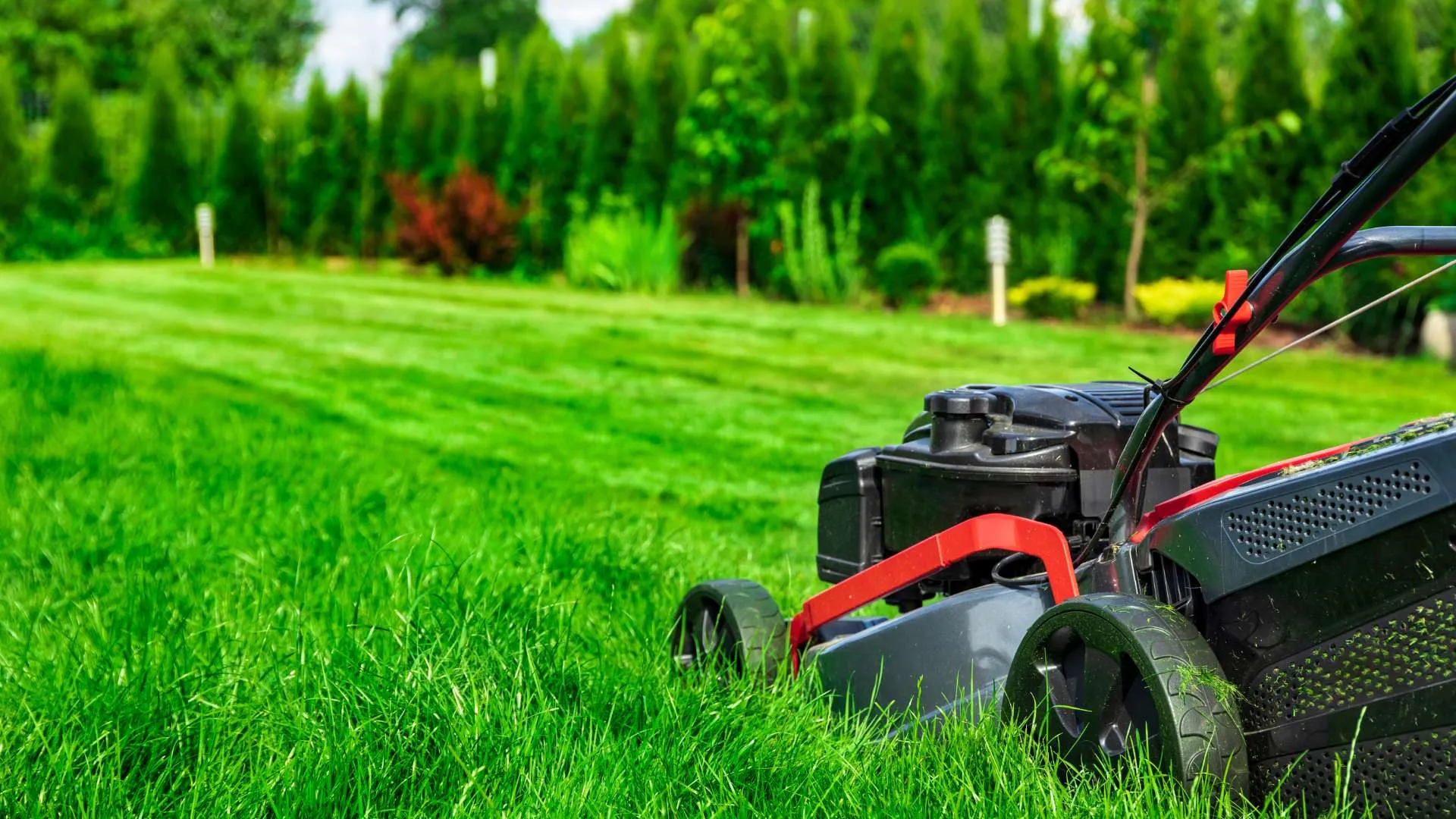 Commercial Lawn Bed Maintenance
