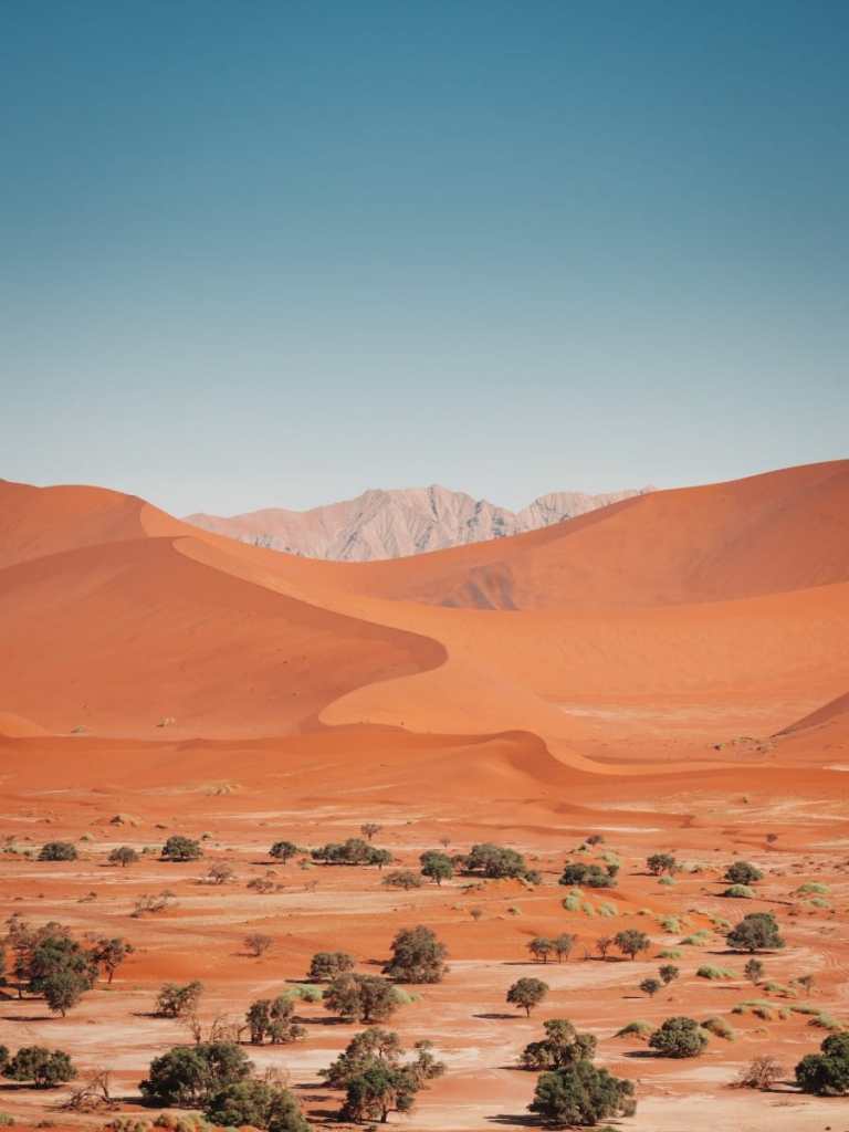 National Park in Namibia