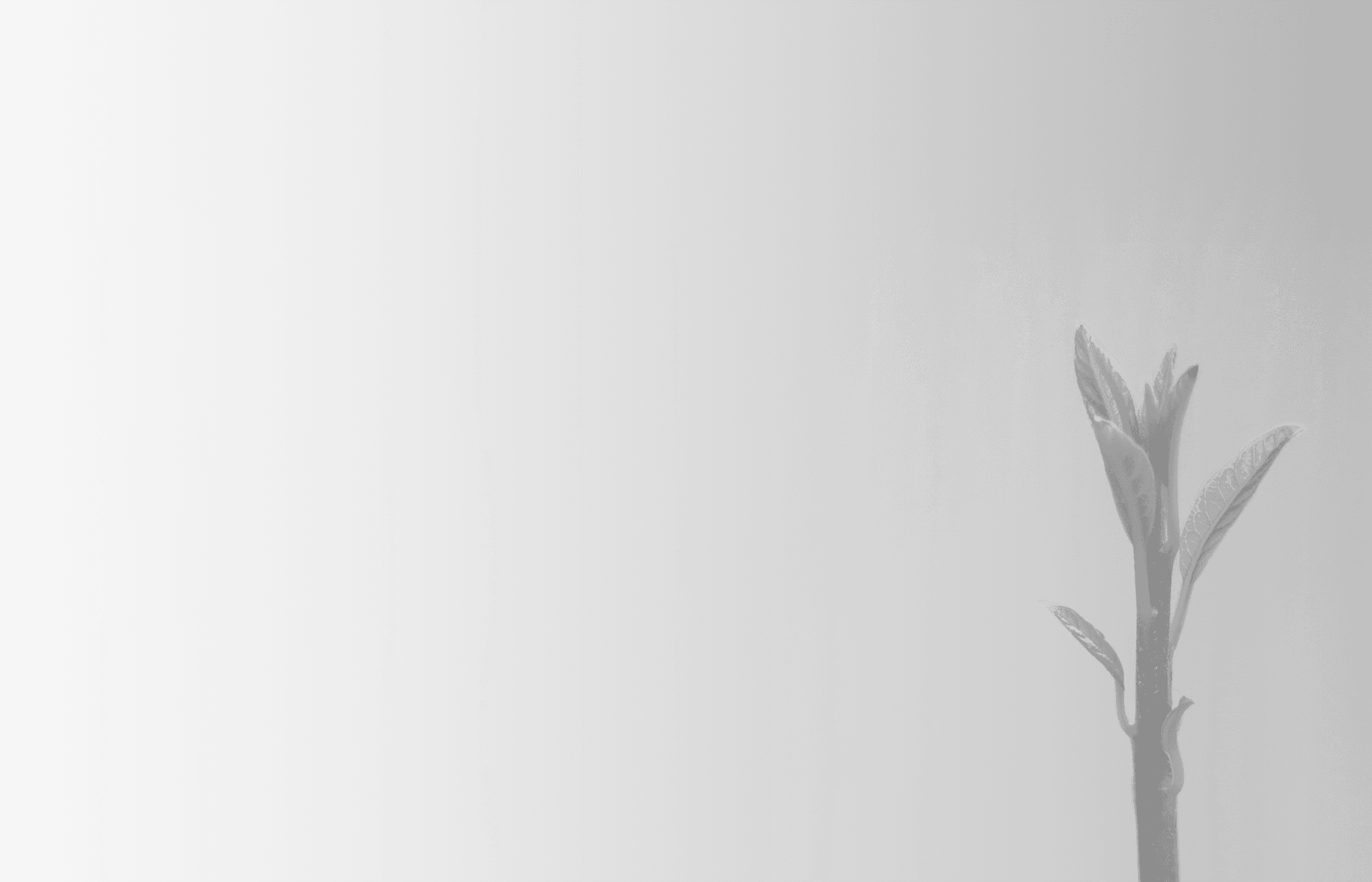 Performance Marketing Agentur für zielgerichtete Werbung und messbares, skalierbares Wachstum