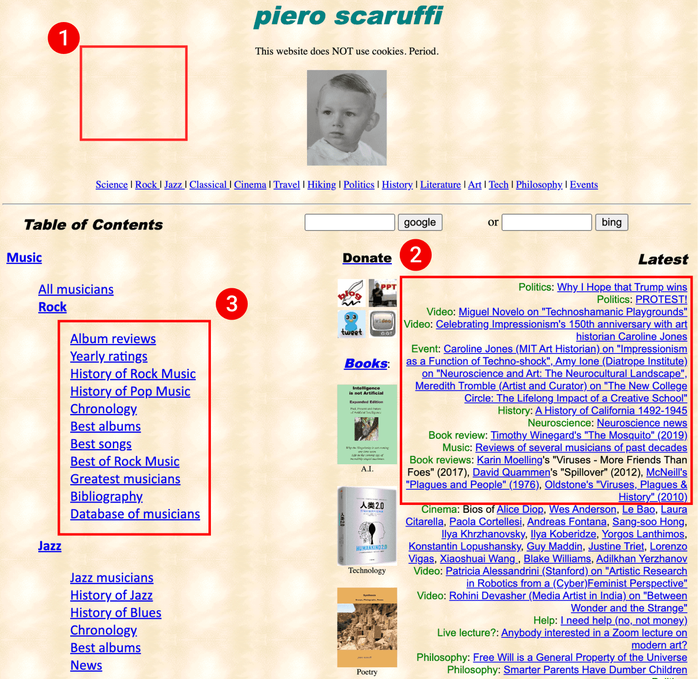 Annotated screenshot pointing out where the specific issues are. Labeled #1 is a red rectangle simply highlighting the patterned background of the website. Labeled #2 is a rectangle highlighting a bunch of text that is aligned to the right. Labeled #3 is a rectangle highlighting a bunch of linked text