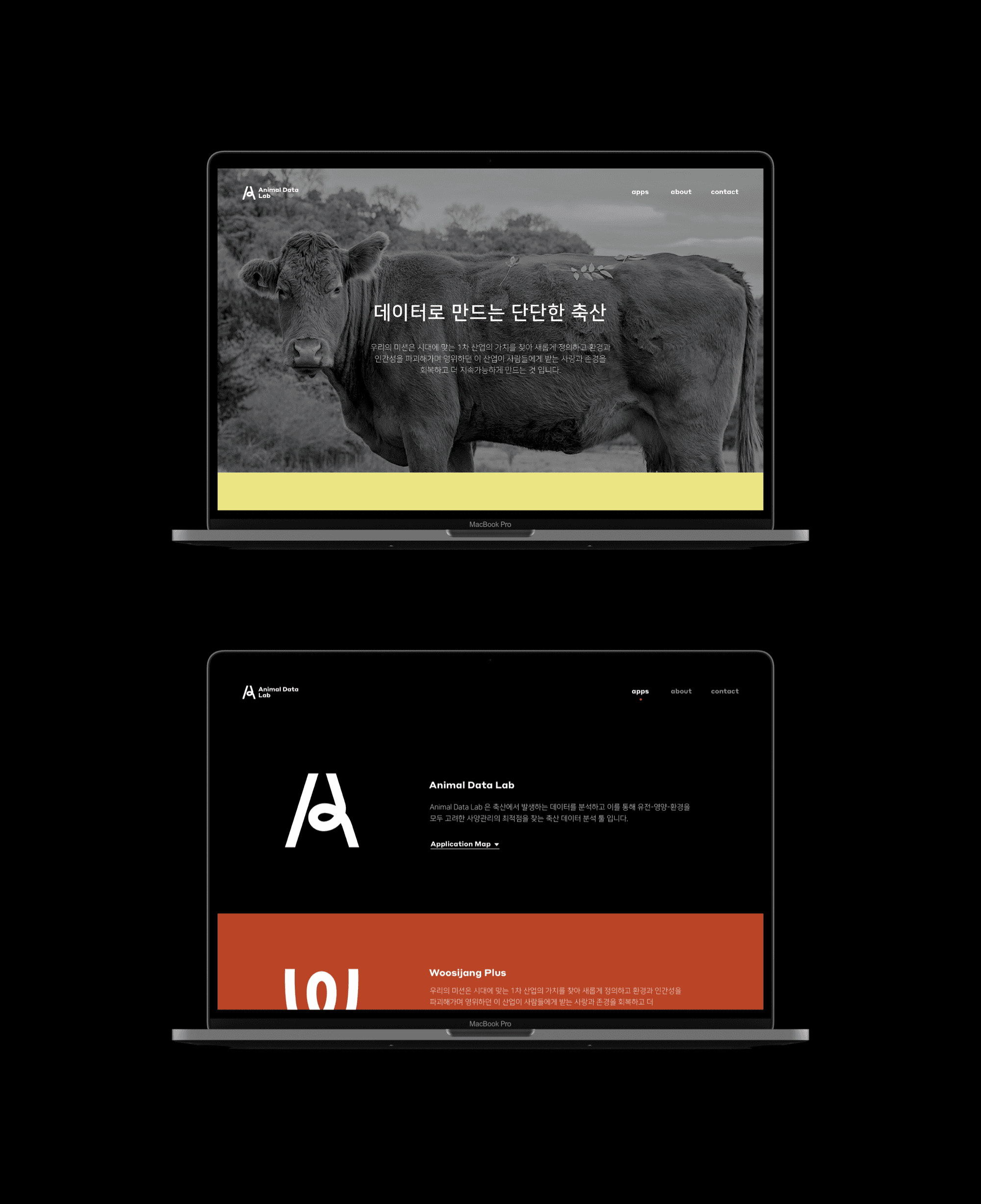 Responsive Image