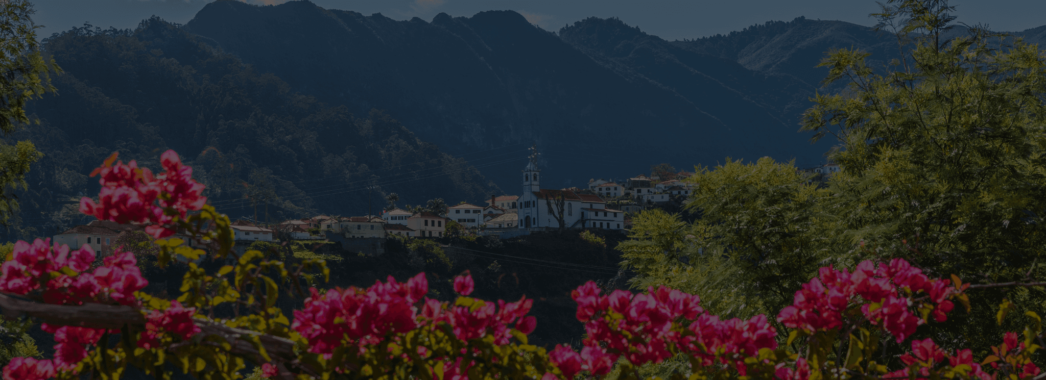 Real Estate House Image Background