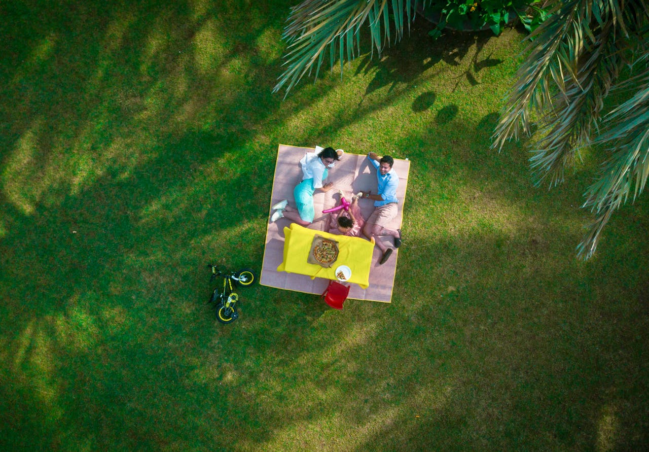 A family is having a picnic on a grassy lawn under palm tree shadows.