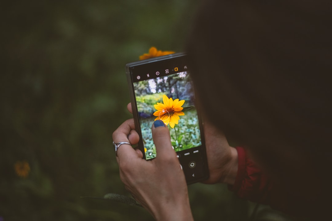 social media posts, captions