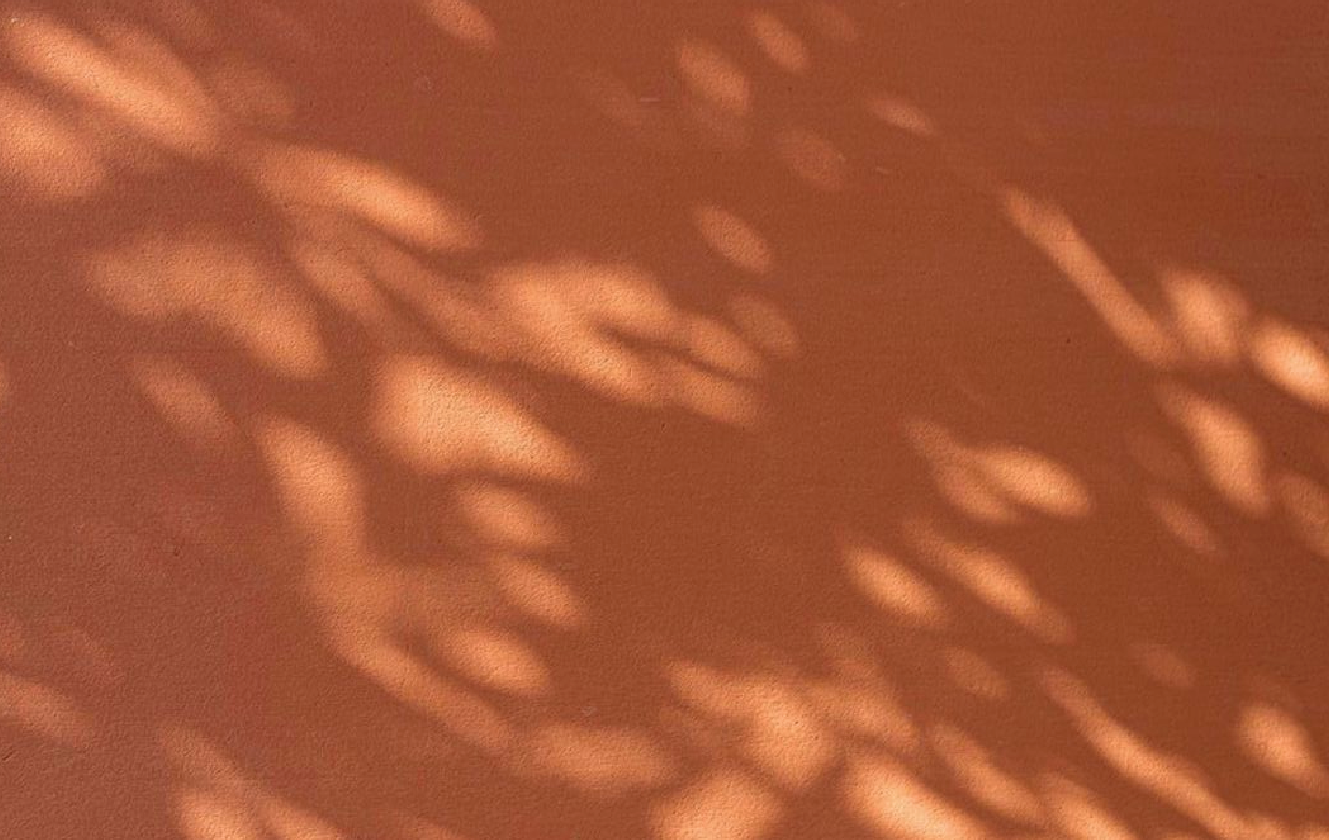 person checking expenses on ther laptop