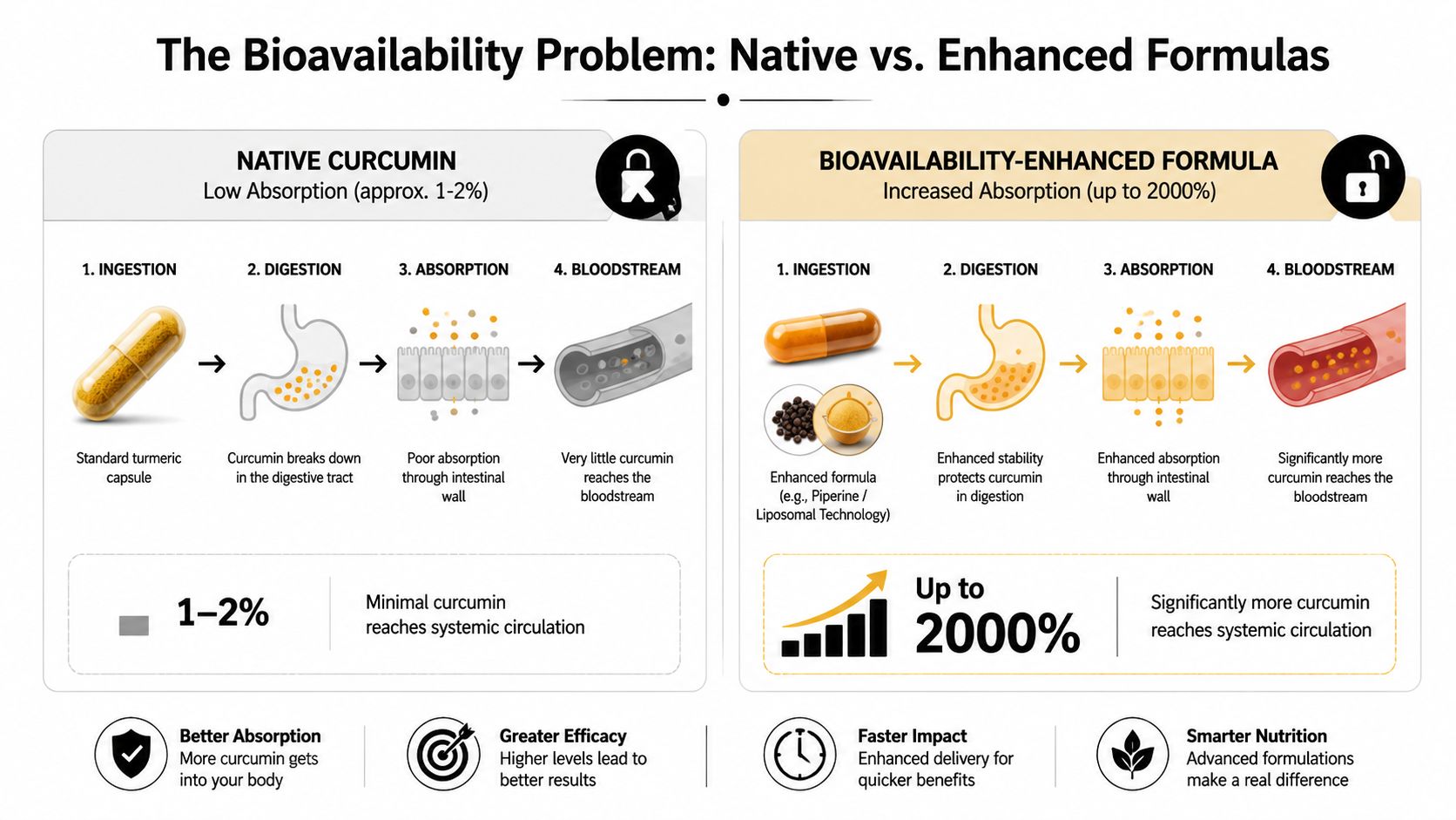 A comparative infographic showing low absorption of native curcumin versus high absorption of enhanced bioavailability curcumin supplements.
