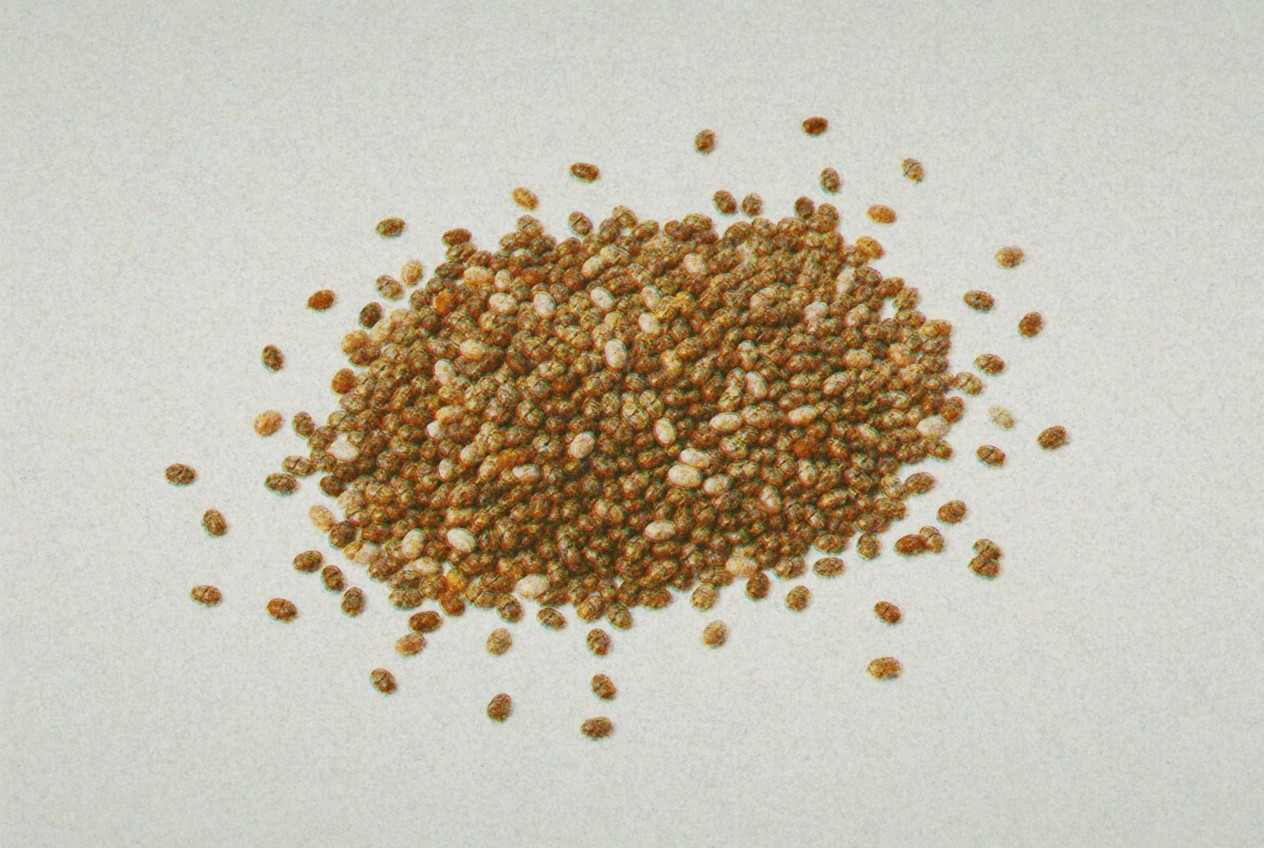Chia Seeds
