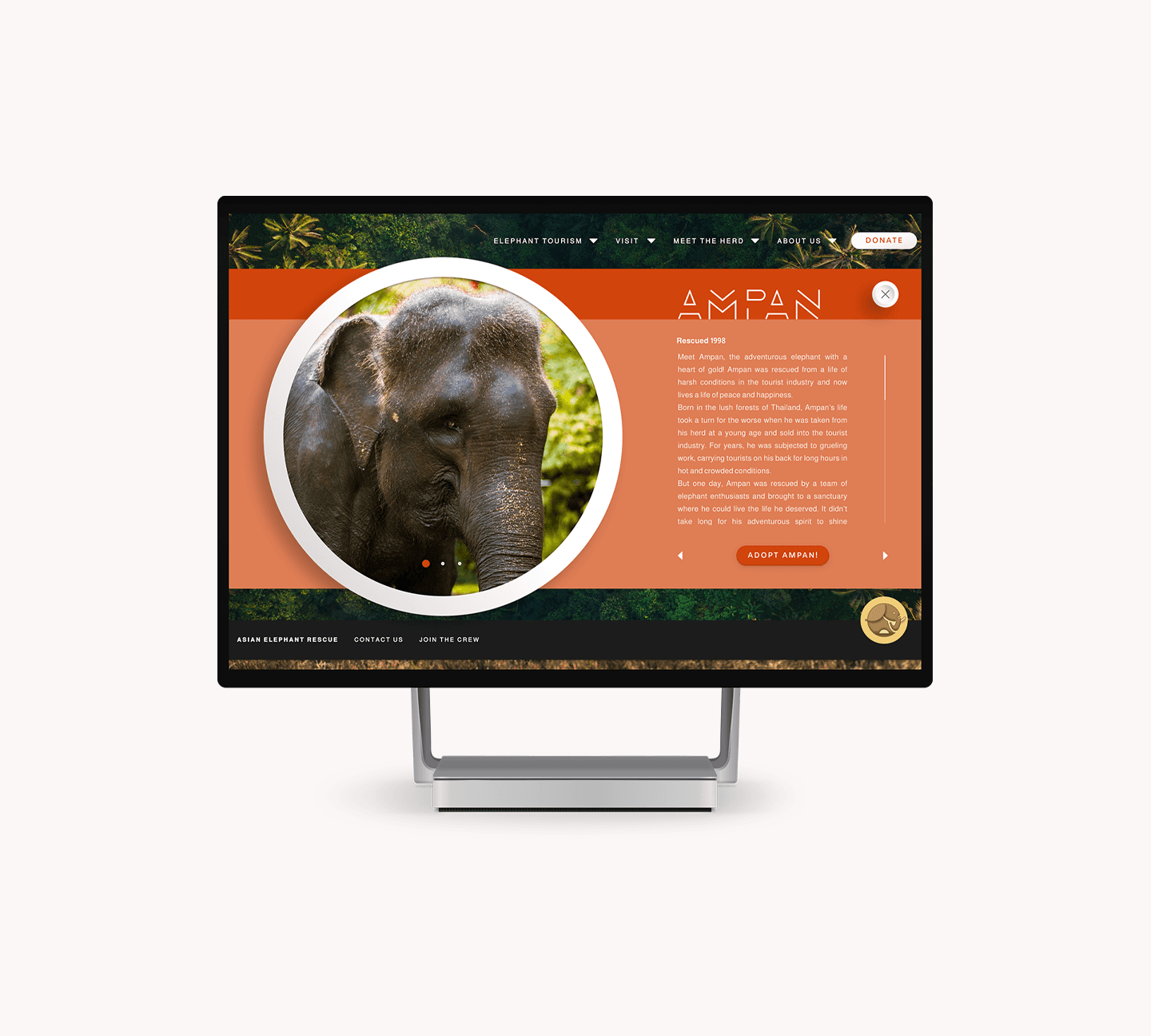 A desktop screen showcases the next case study, highlighted by a captivating hero image of an elephant paired with its bio.