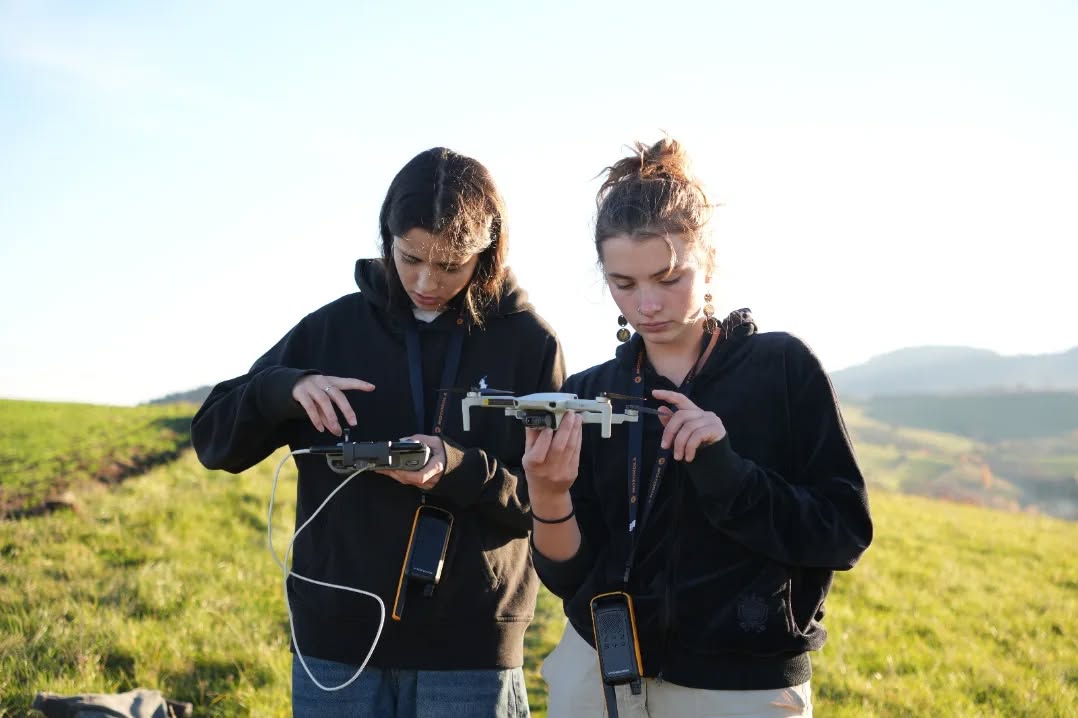 Close-up of lush, dark green leaves, some glossy and wet, against a muted background.