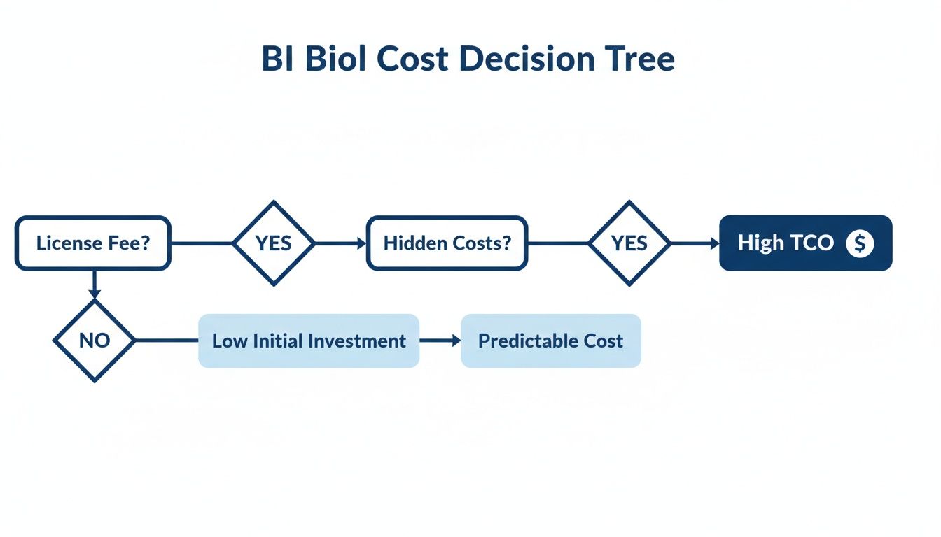 A BI Biol cost decision tree flowchart analyzing license and hidden fees leading to TCO outcomes.