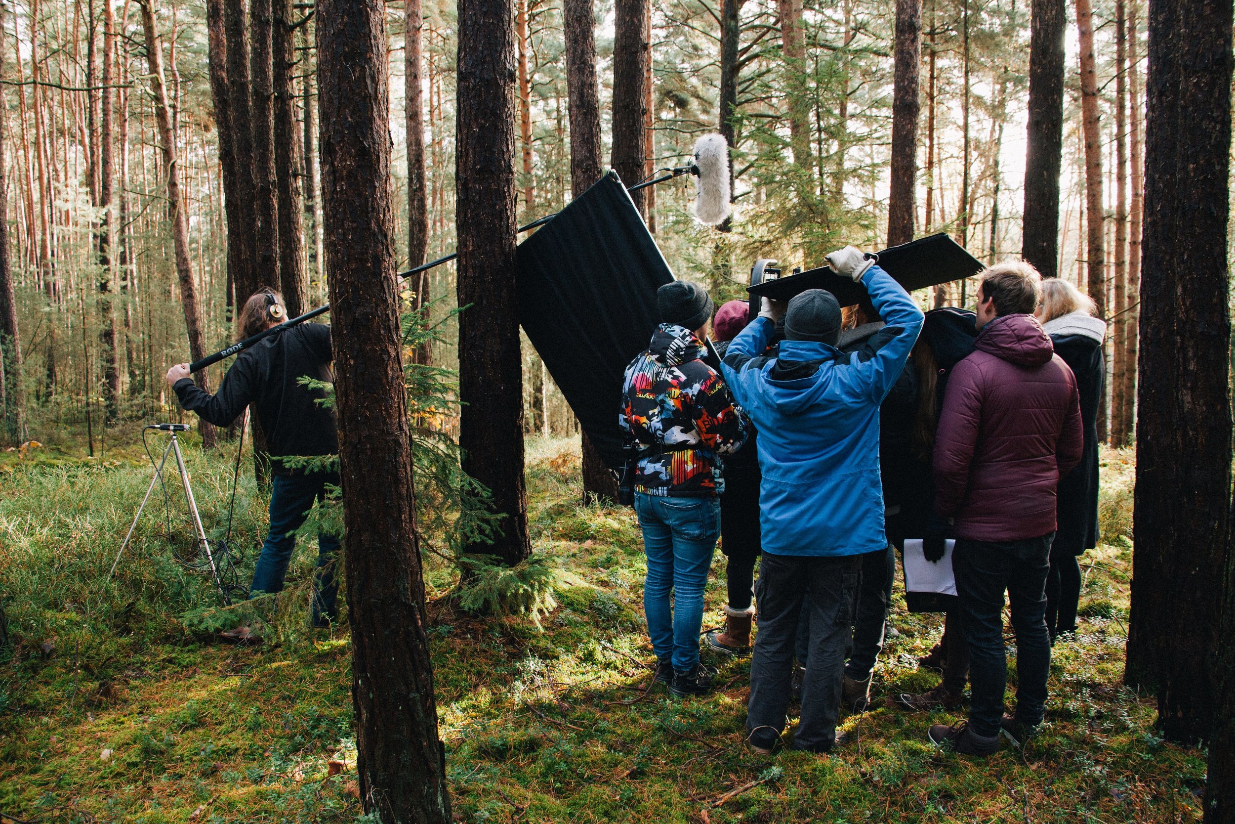 A film crew working among trees, with camera and lighting equipment.