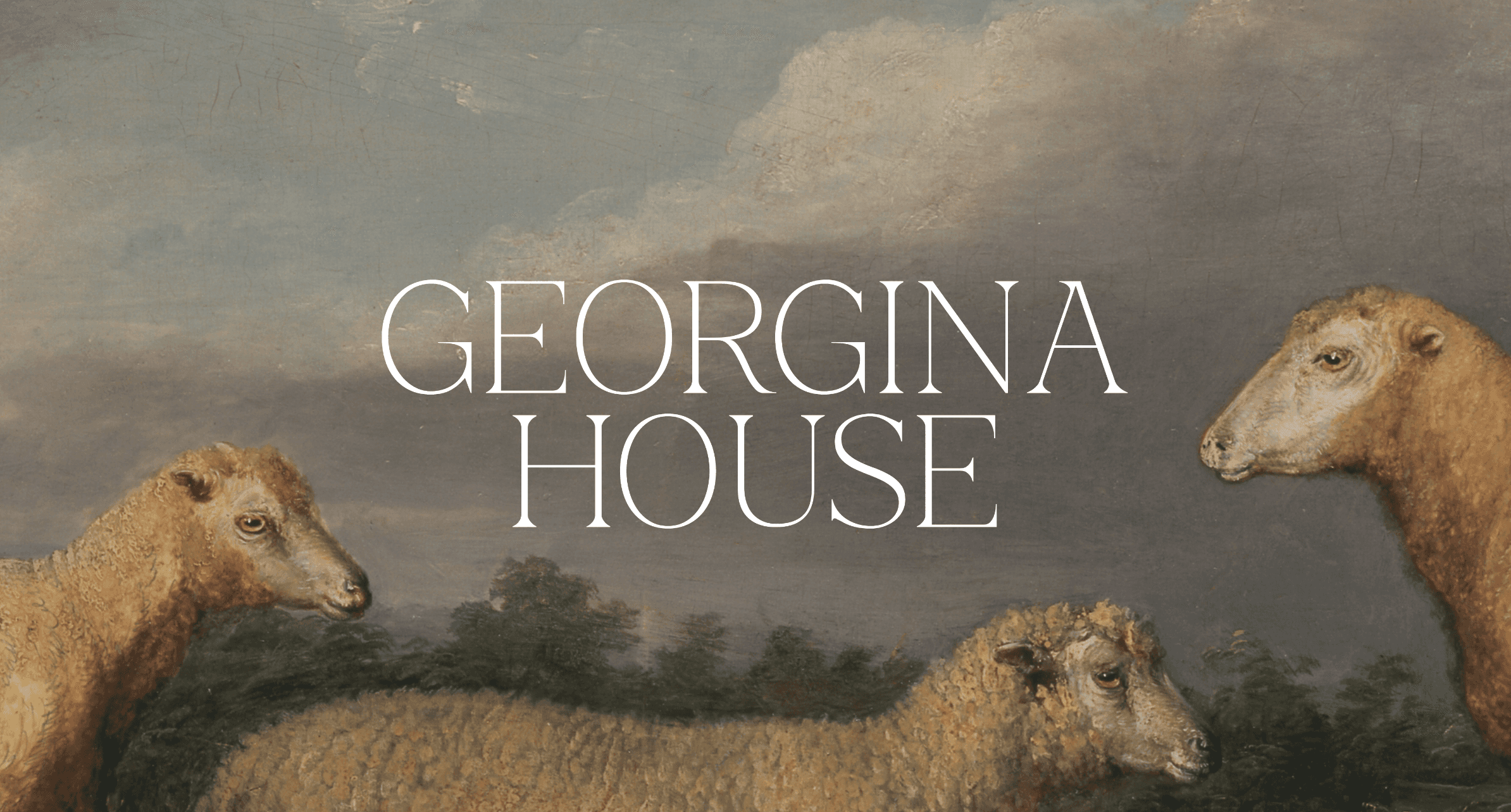 The image featured at the top of the about us page #2