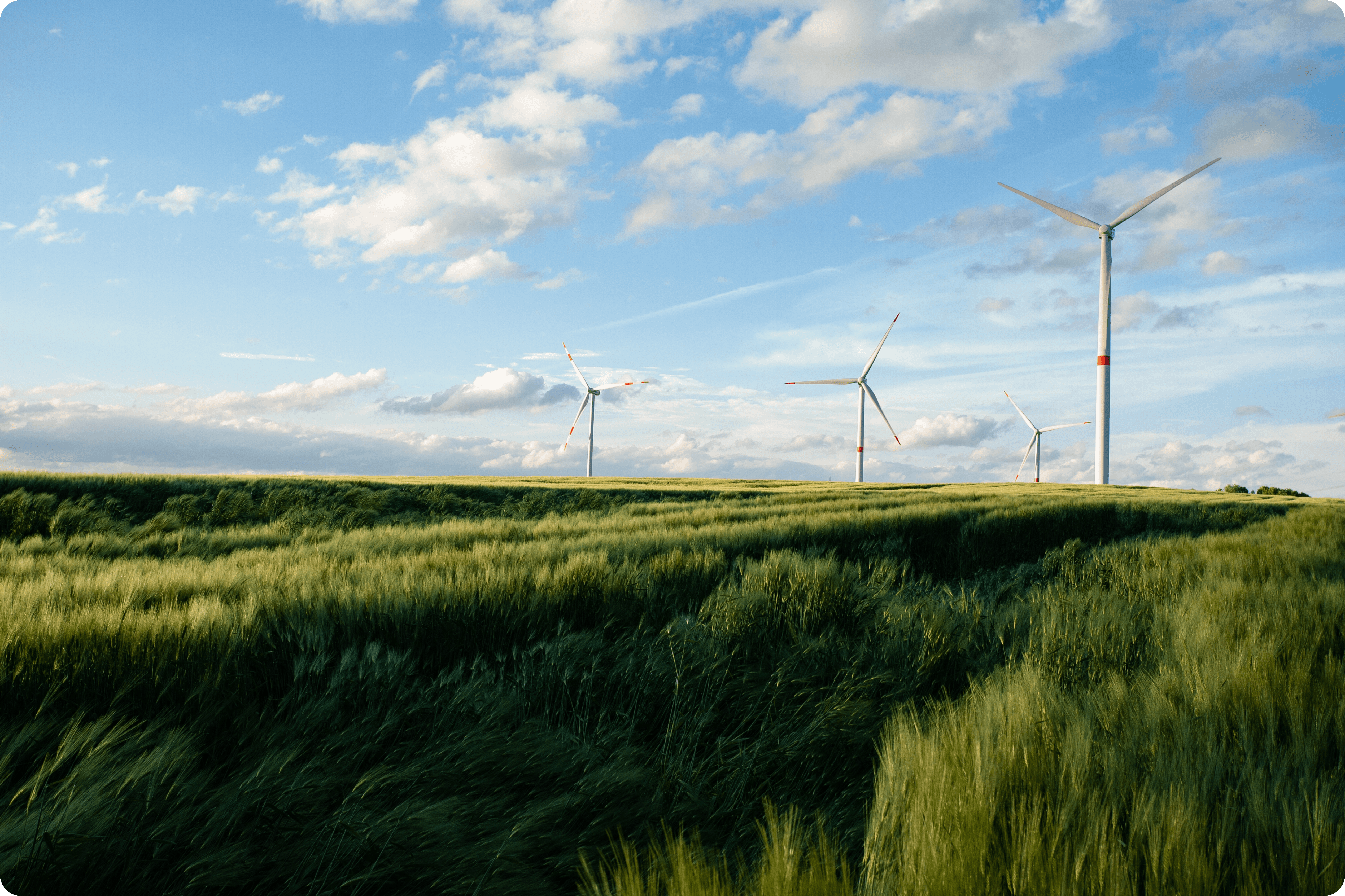 Windpark liefert grünen Strom, um Industriestrom nachhaltiger zu machen