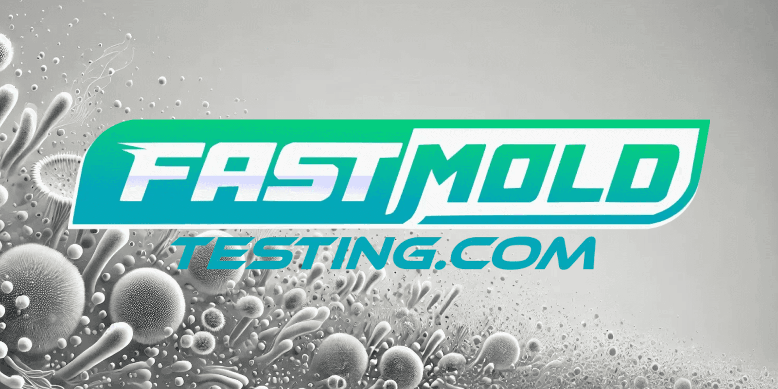 the "Fast Mold Testing" logo with a background showing mold-like particles, emphasizing mold inspection services.