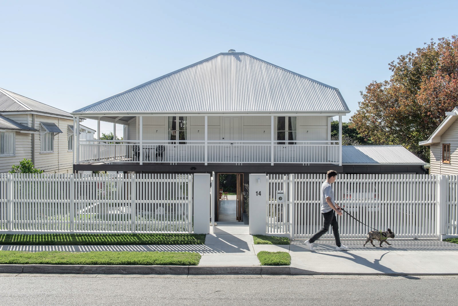 Front elevation of elevated residential house with white picket fence and pedestrian walking dog on street