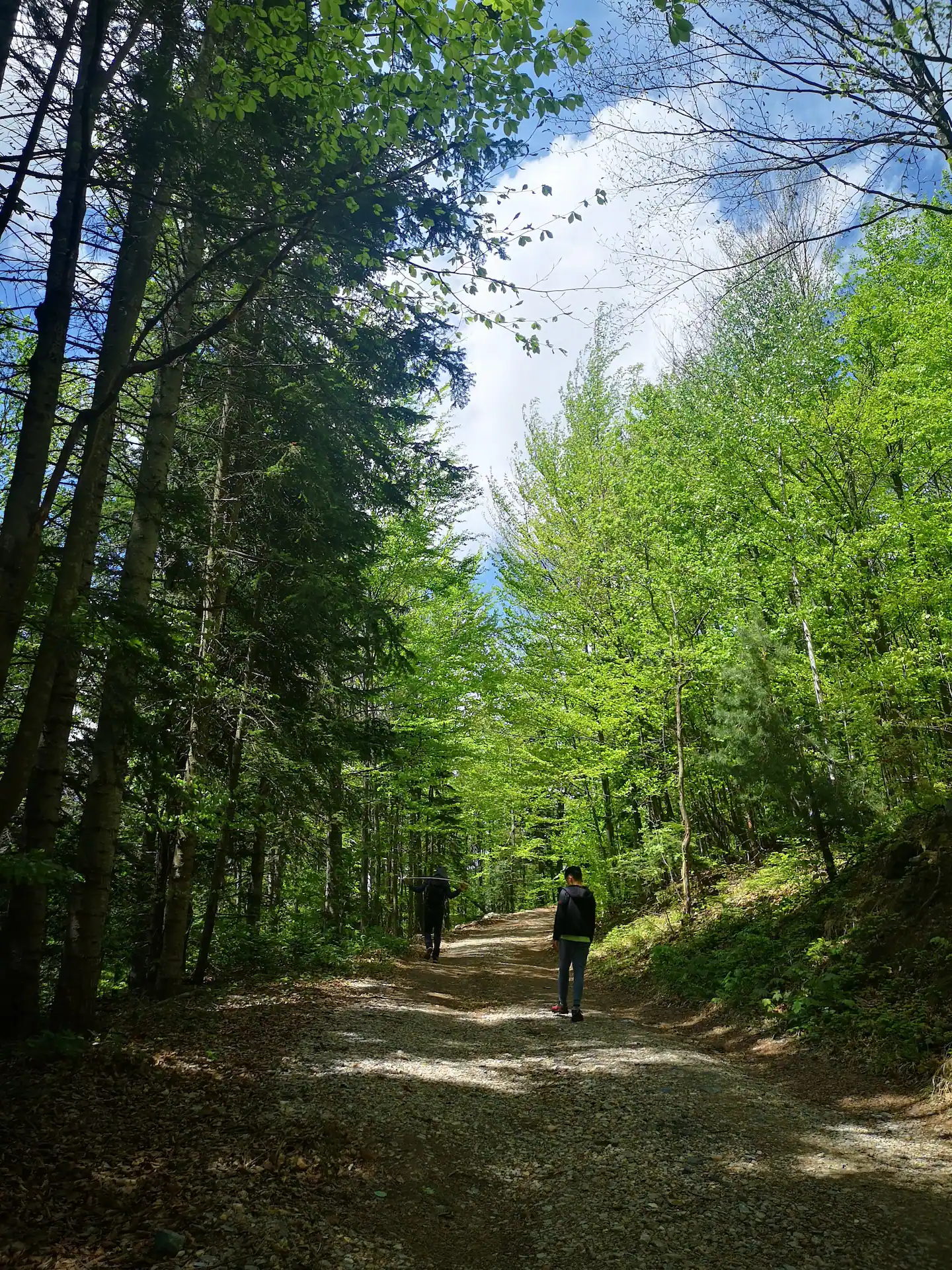 Slika pogleda iz Solarne Eko Vile u Divcibarama.