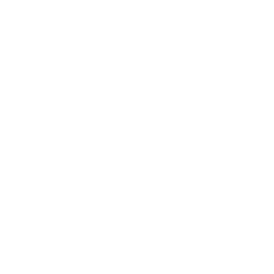 Icona accessibilità