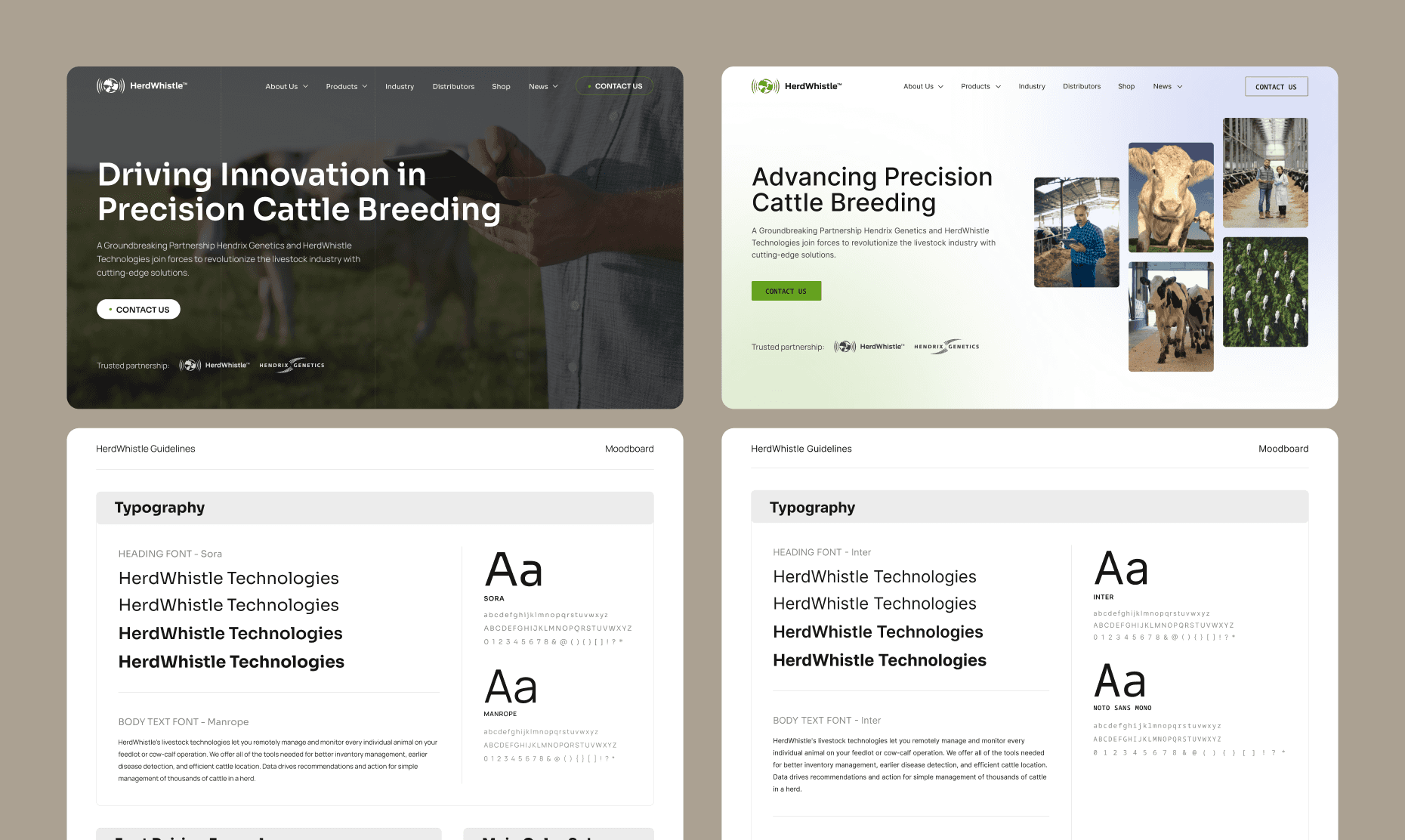 Two options for site view which were suggested to the client