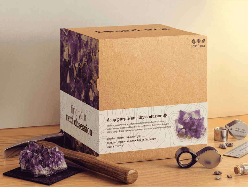 Amethyst rock packaging from Fossil Era.