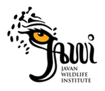 Logo featuring an eye with intricate designs, accompanied by the text "Juju."