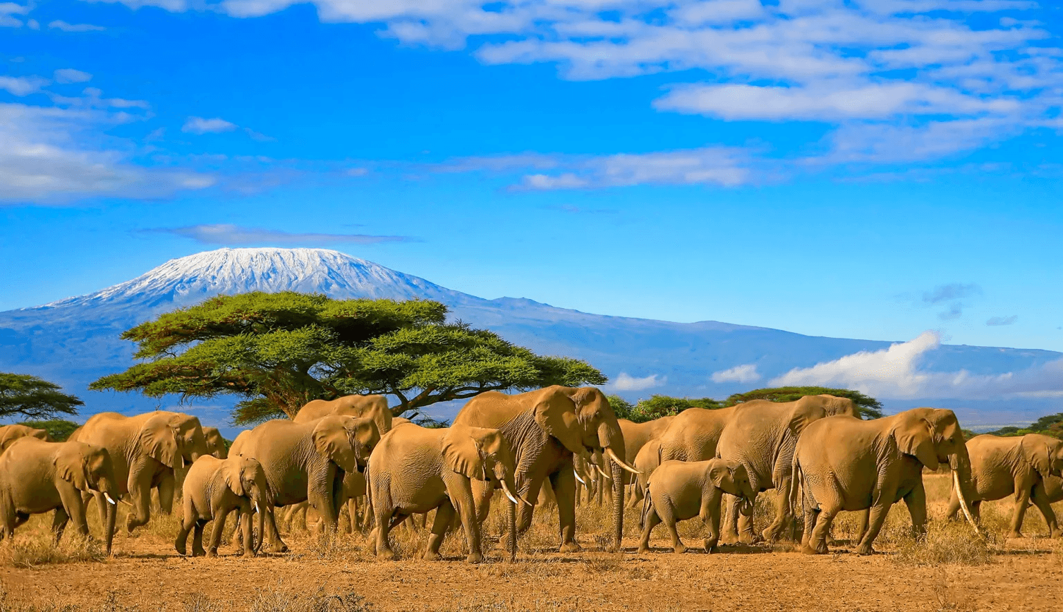 Tanzania