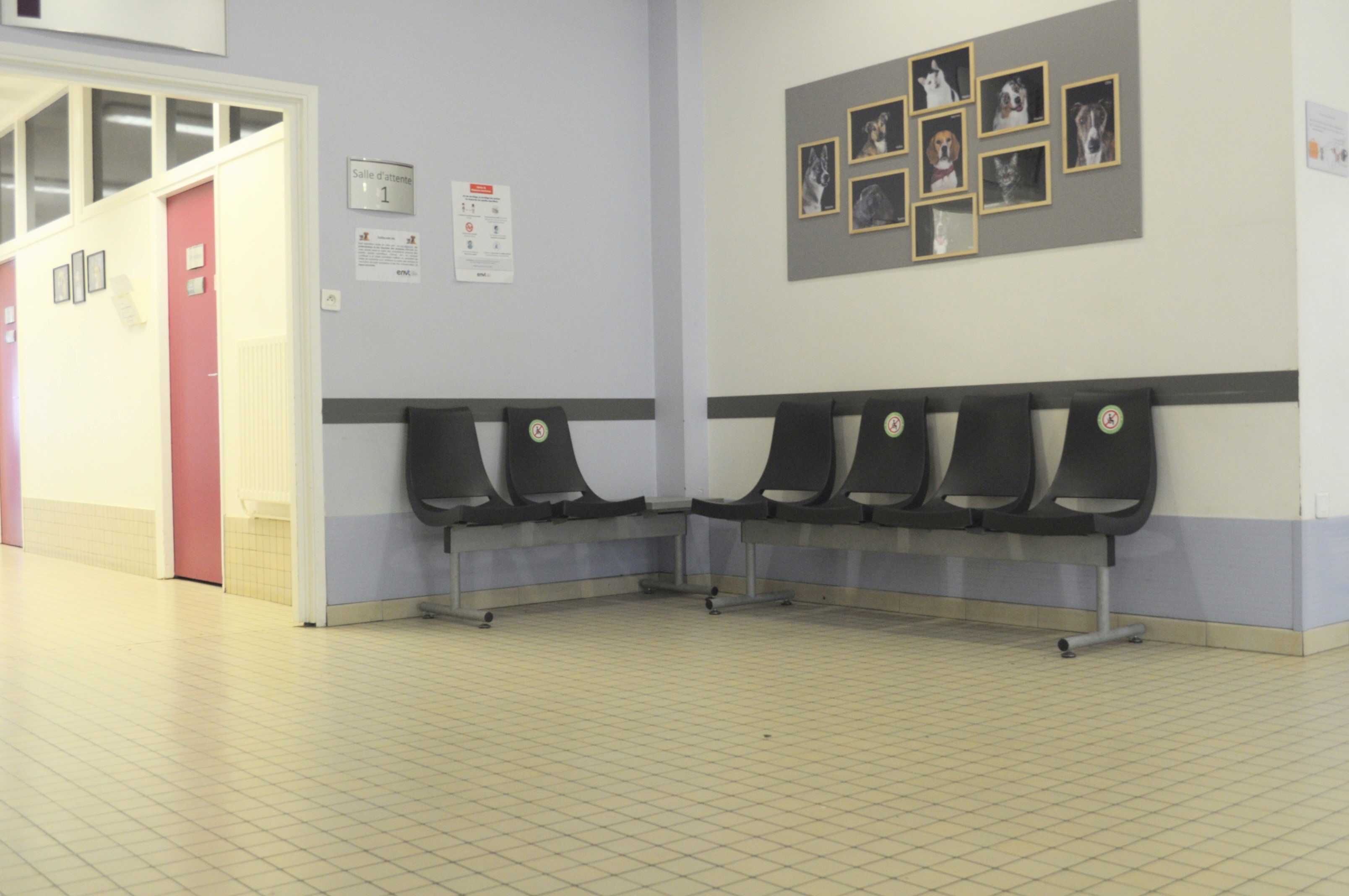 Aménagement restreint d'un espace d'attente vétérinaire dans un couloir.