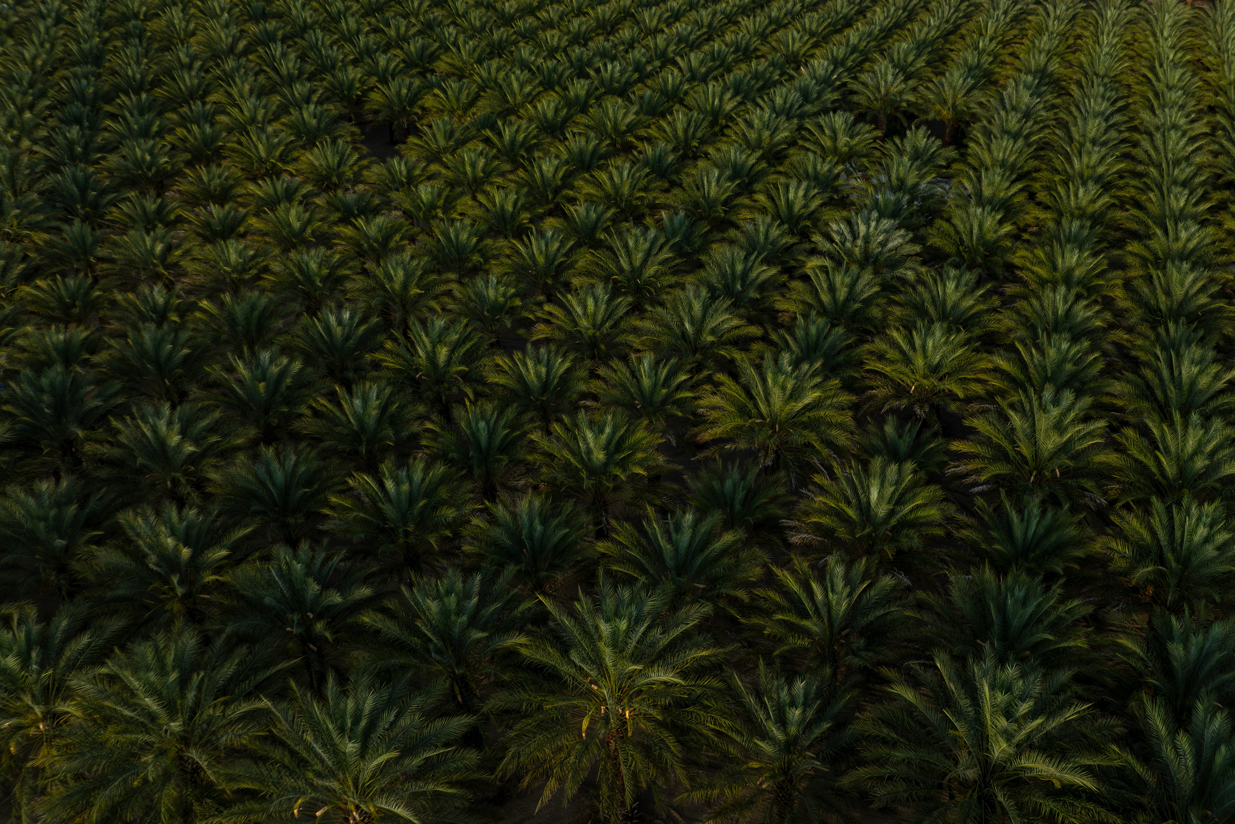 Drone photo 2