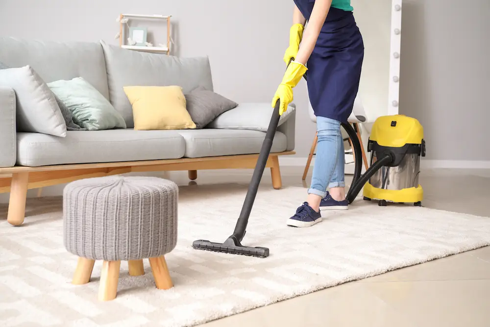 Professional Cleaner Vacuum Cleaning Carpet in Living Room Air B&B, B&B Cleaning
