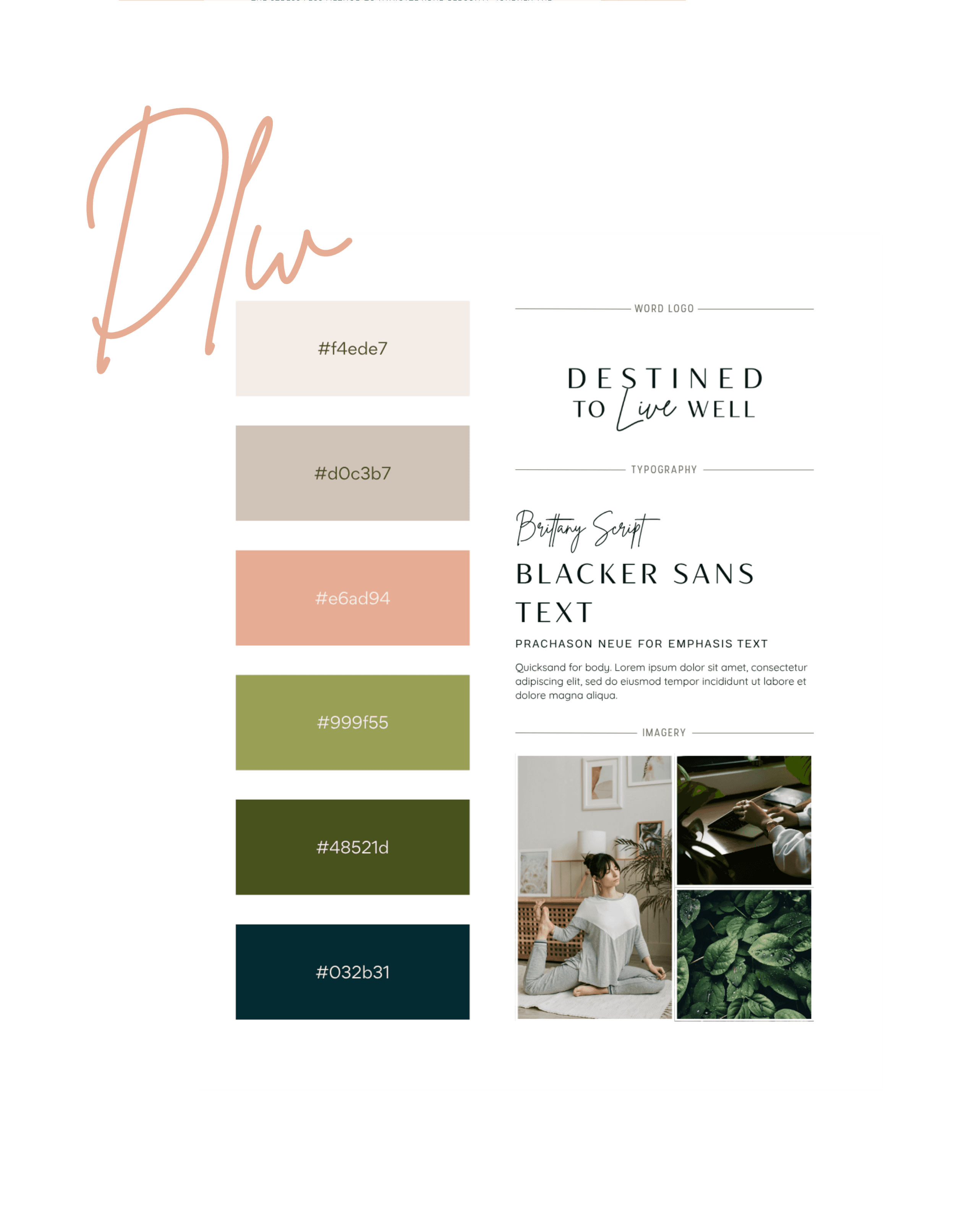 Brand document