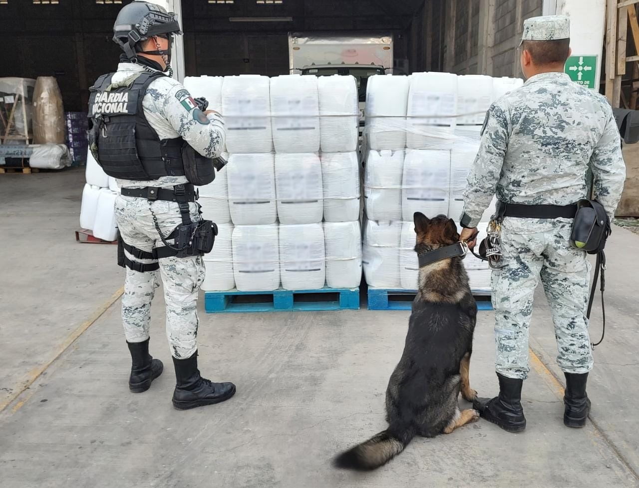 A image of the mexican national guard