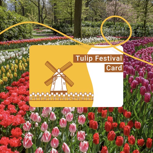 Tulip Festival Card tickets in Lisse