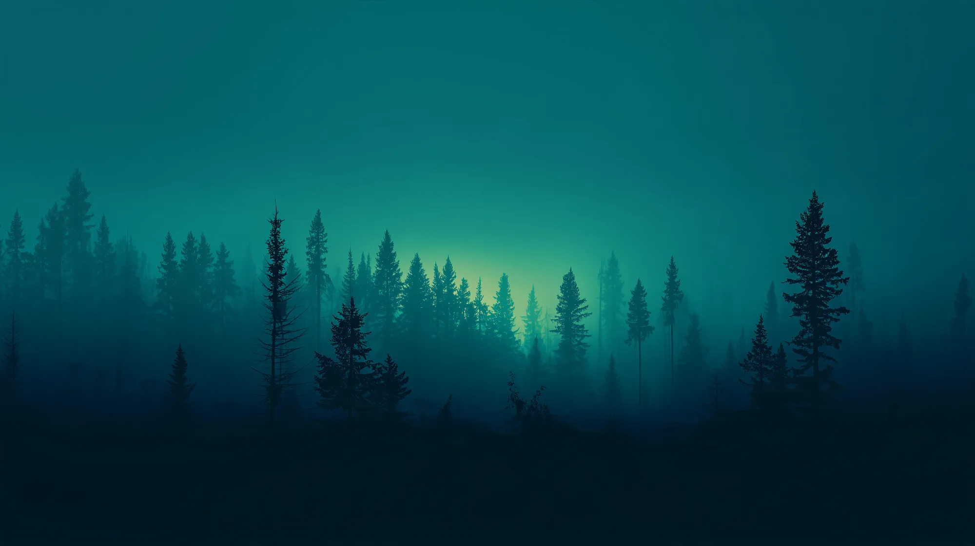 Dark forest at dusk with spruce silhouettes against a deep teal sky and a faint green glow