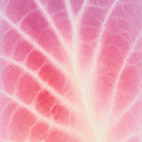 CT coronary artery calcium score for heart disease detection