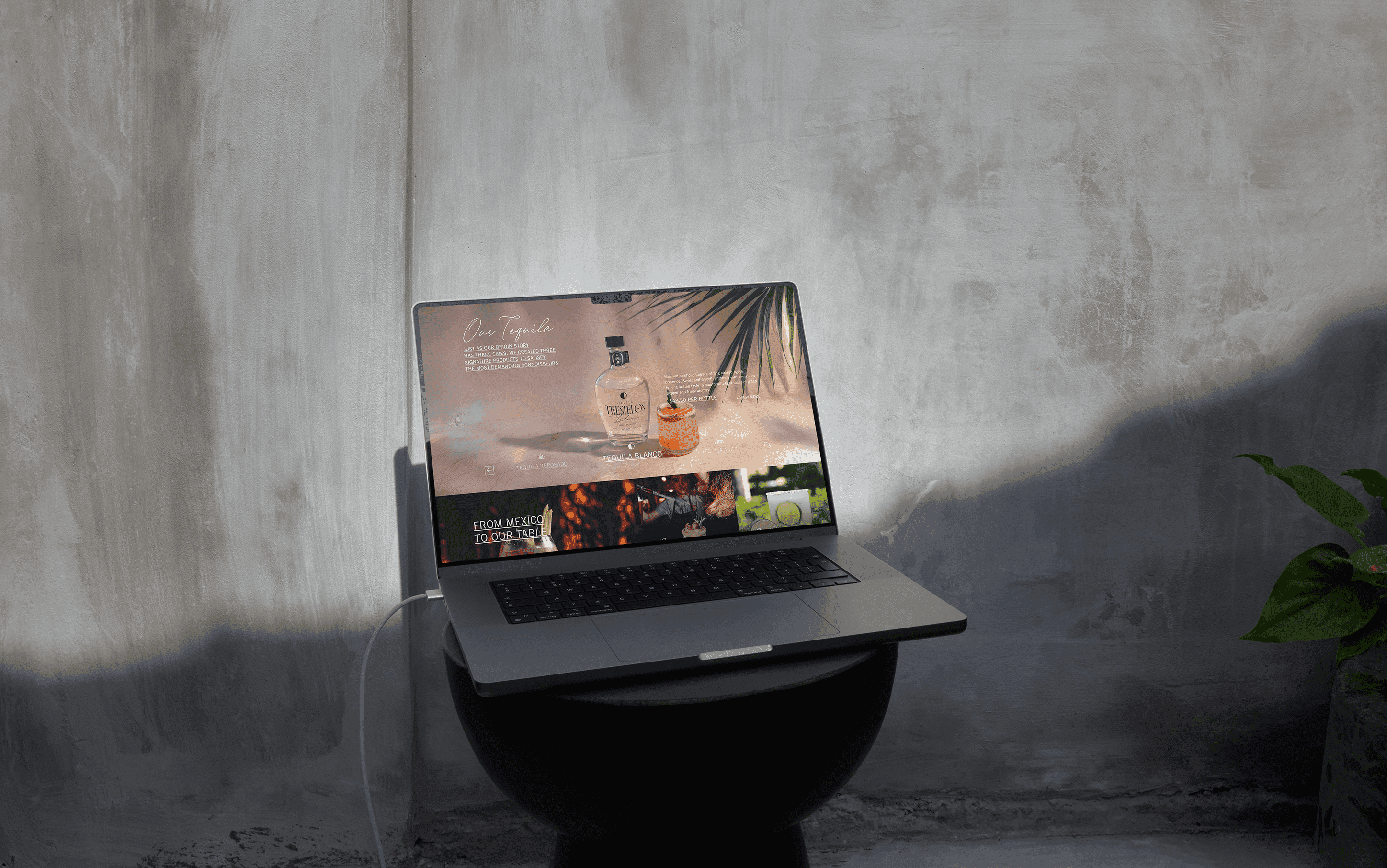 Portfolio project image