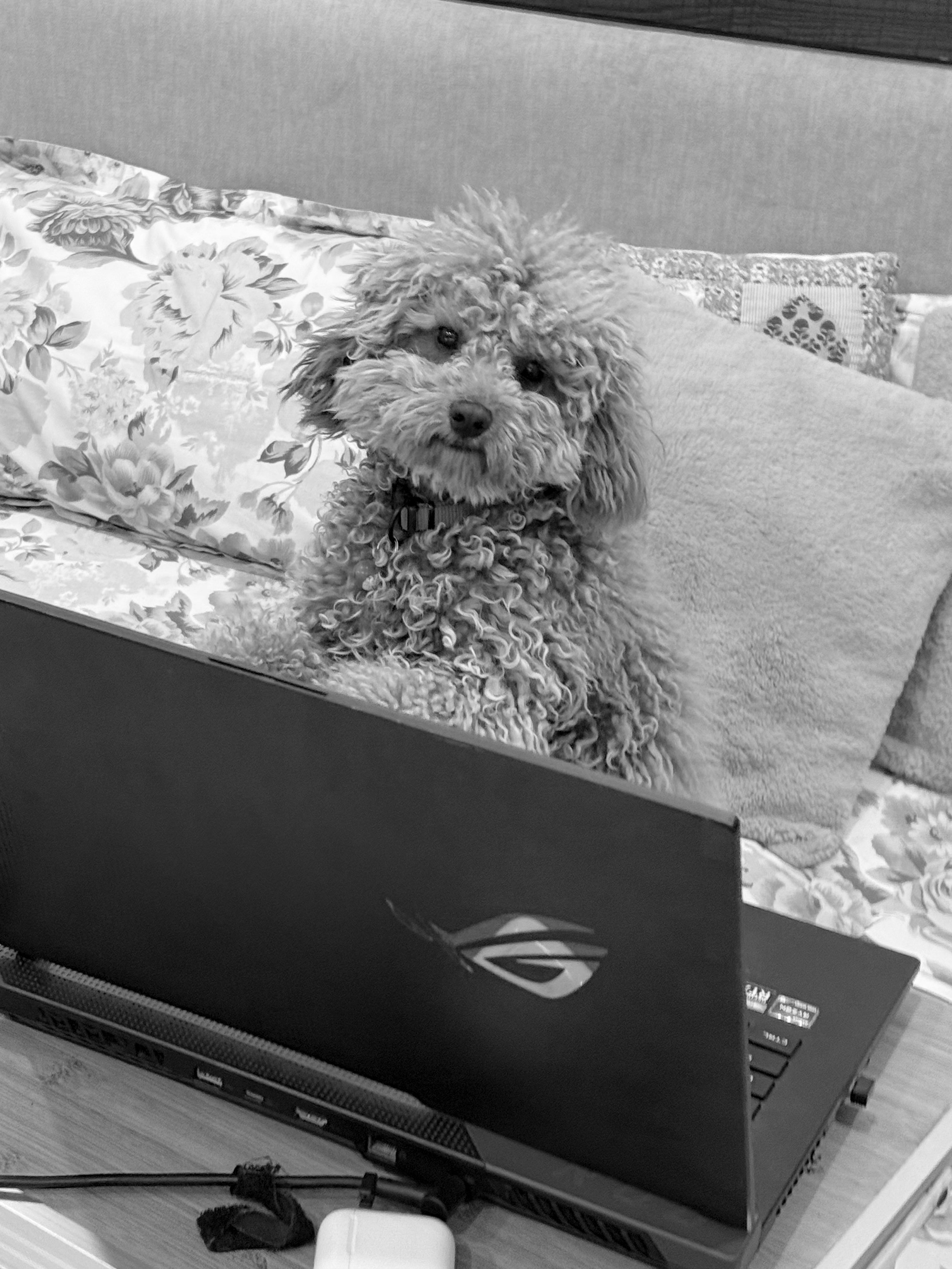 A model wearing an elegant cream blazer sits on a chair against a bright blue background, showcasing a modern and minimalist professional style.