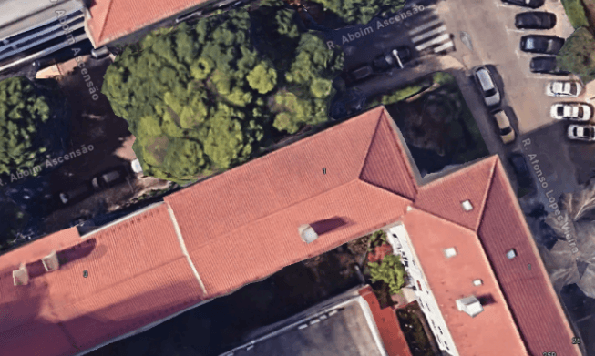 Alvalade - Lisboa AlphaGrow project