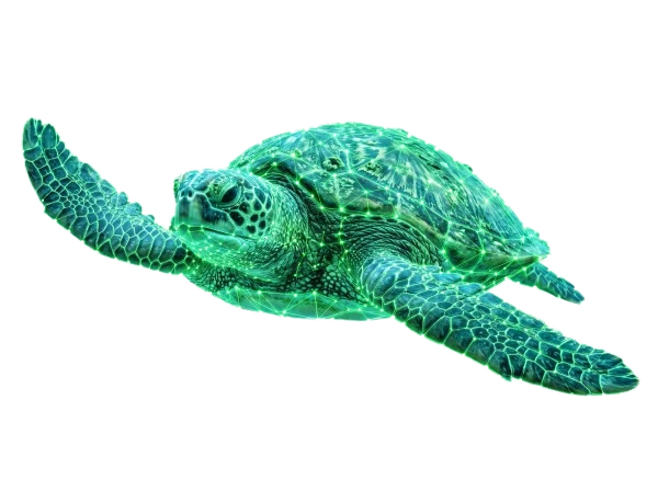 Une tortue marine holographique d'un vert éclatant, traversée de lignes lumineuses et de points connectés, évoquant.