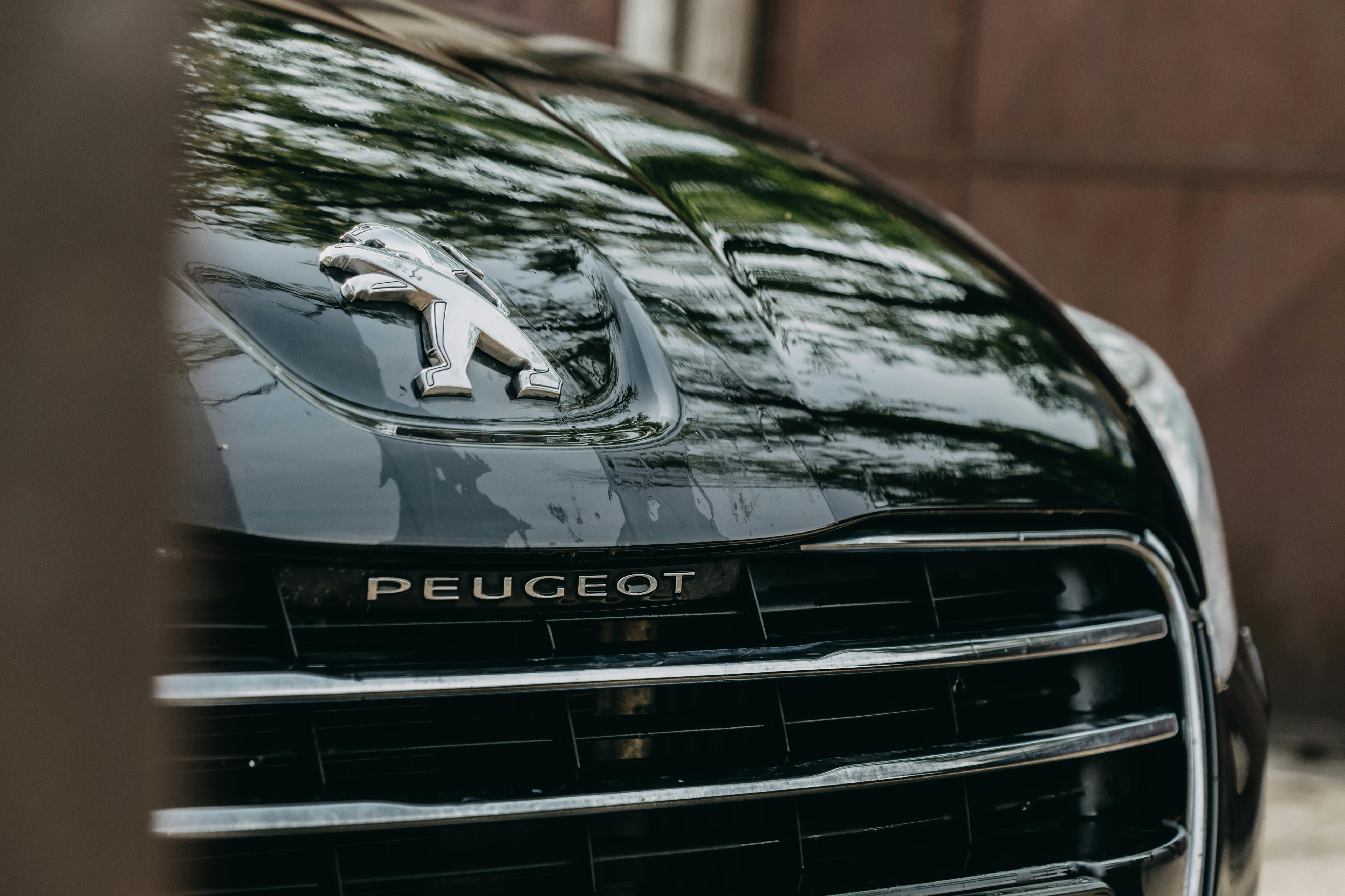 Le célèbre lion Peugeot brille sur la calandre, symbole de puissance et d’élégance depuis plus d’un siècle.